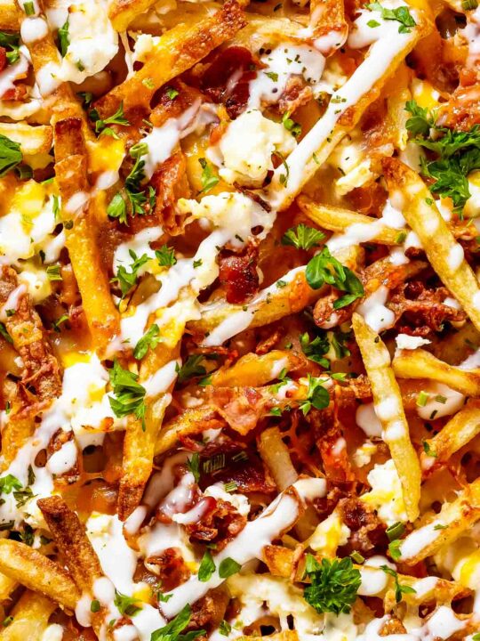 Loaded Fries
